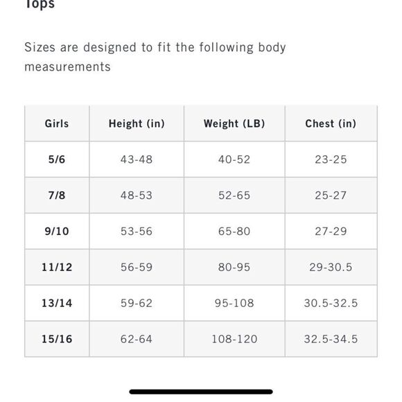 Abercrombie & Fitch Grey Tops Lot of 2 - Picture 10 of 10